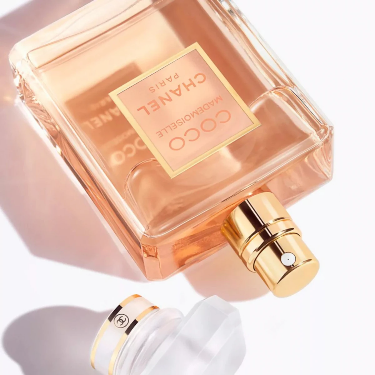 Coco Mademoiselle in close-up