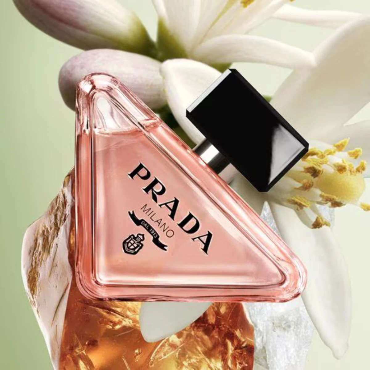 Paradoxe by Prada