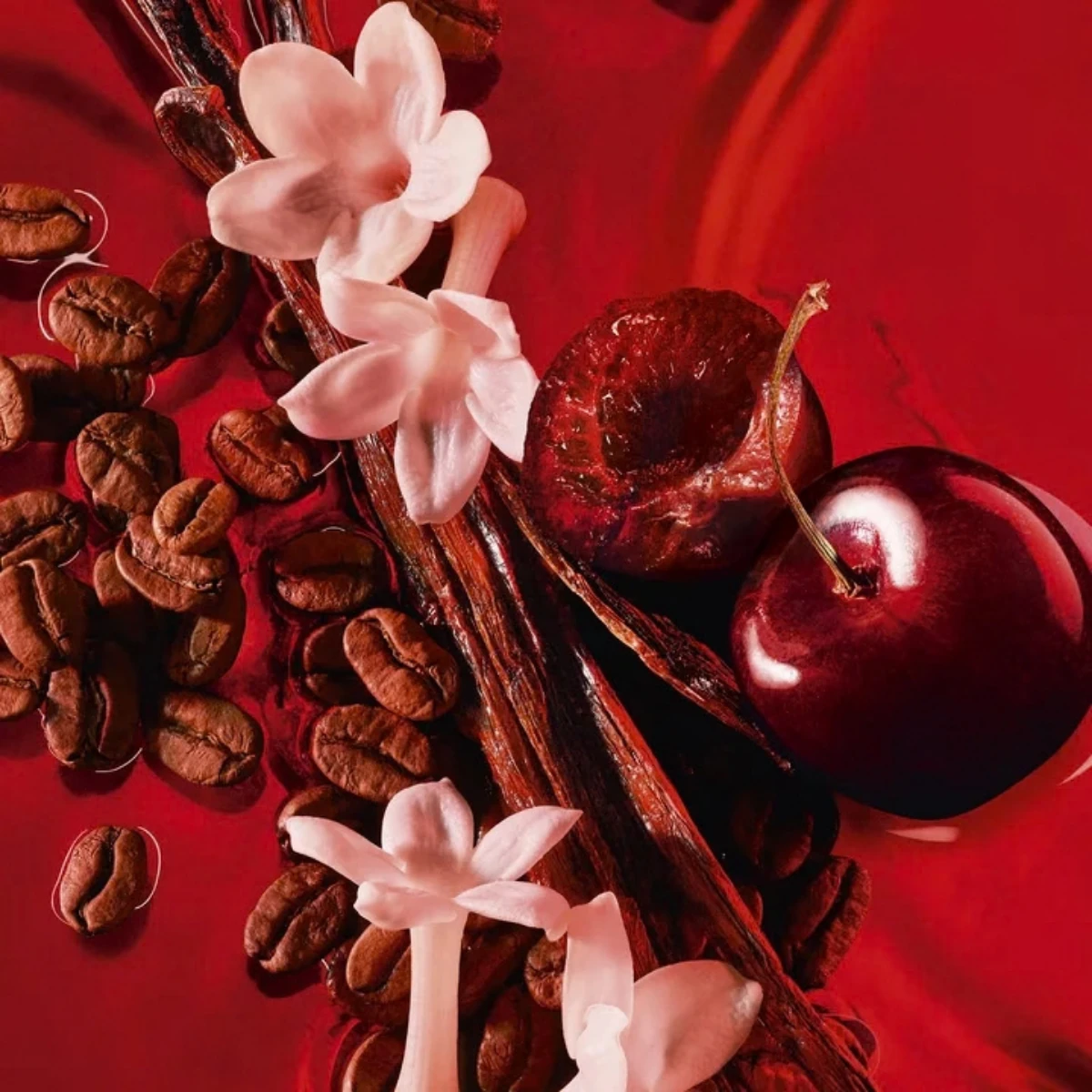 Black Opium Over Red with its notes