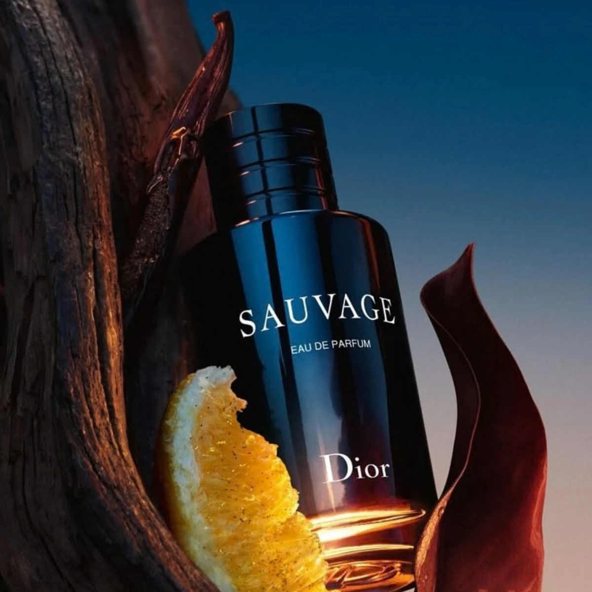 Sauvage by Dior