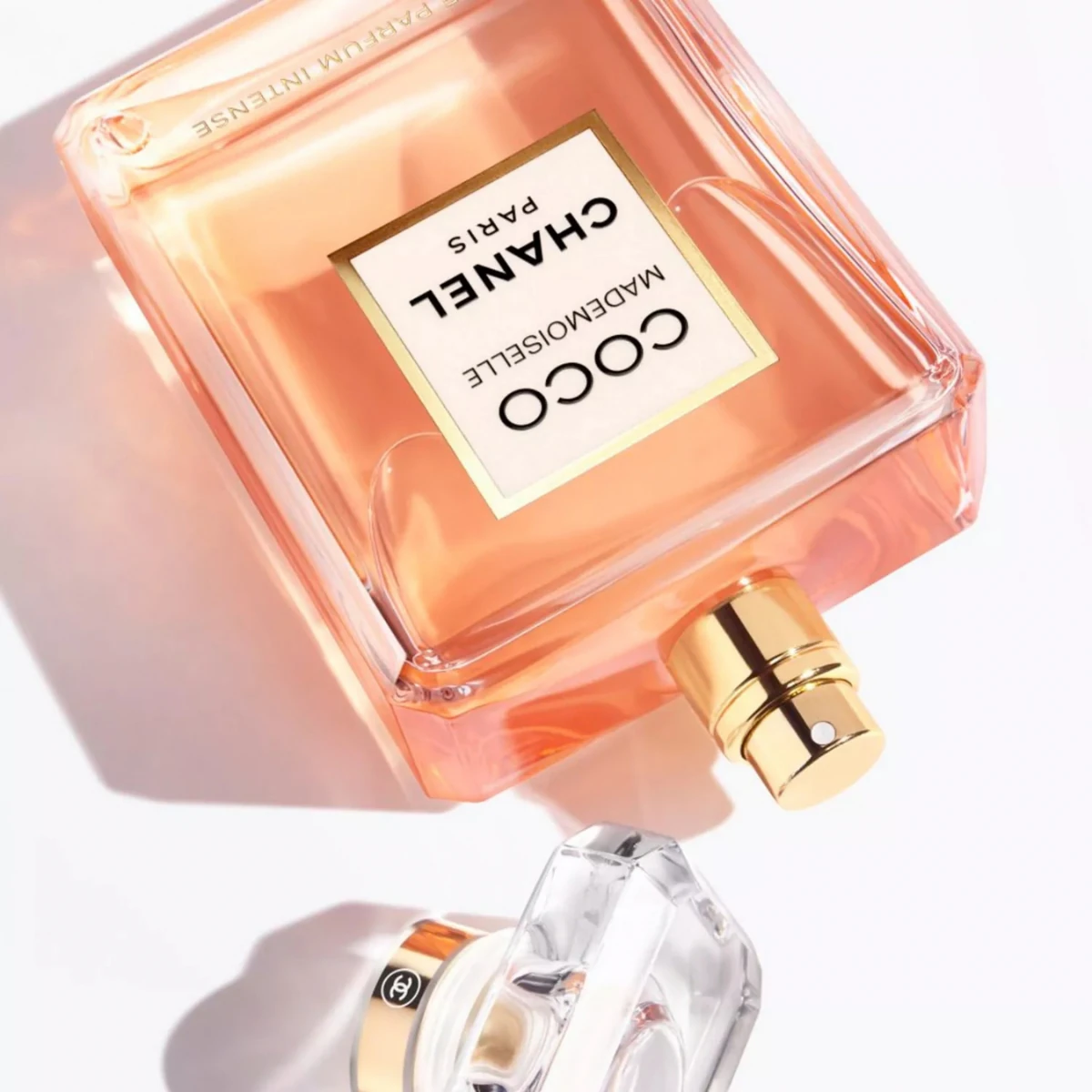 Coco Mademoiselle in close-up
